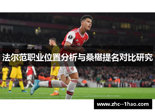 法尔范职业位置分析与桑椹提名对比研究