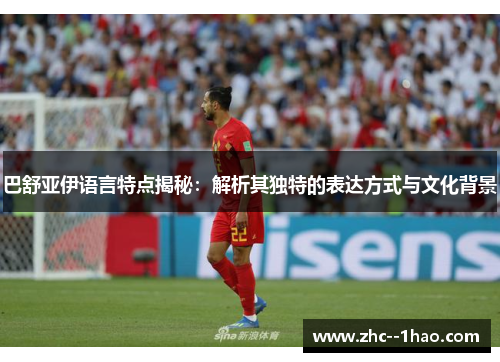 巴舒亚伊语言特点揭秘：解析其独特的表达方式与文化背景