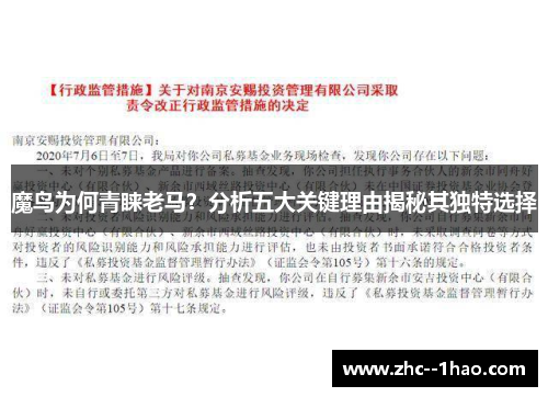 魔鸟为何青睐老马？分析五大关键理由揭秘其独特选择